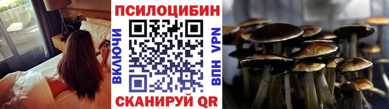 Псилоцибиновые грибы Magic Shrooms  Новосокольники 
